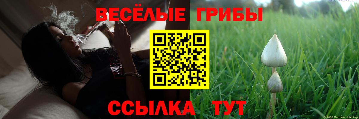 Галлюциногенные грибы Magic Shrooms  Вход с VPN  Салехард 